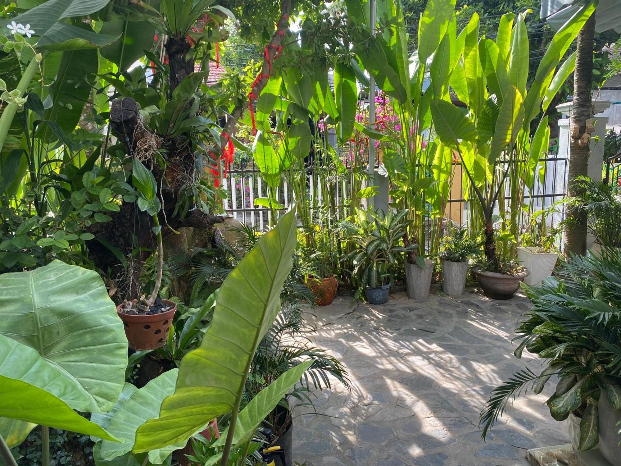 Sunny Garden Homestay Hội An Extérieur photo