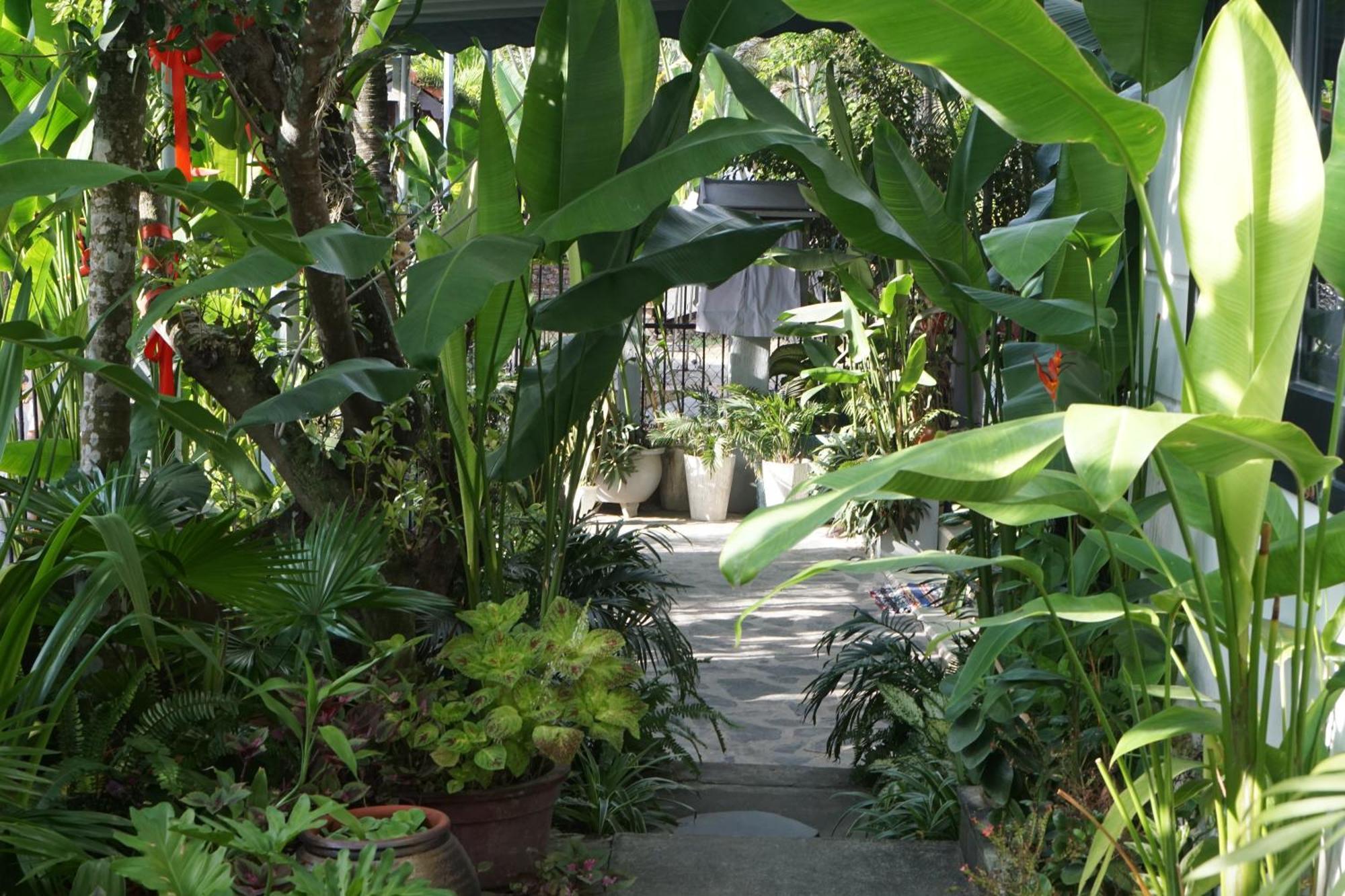 Sunny Garden Homestay Hội An Extérieur photo