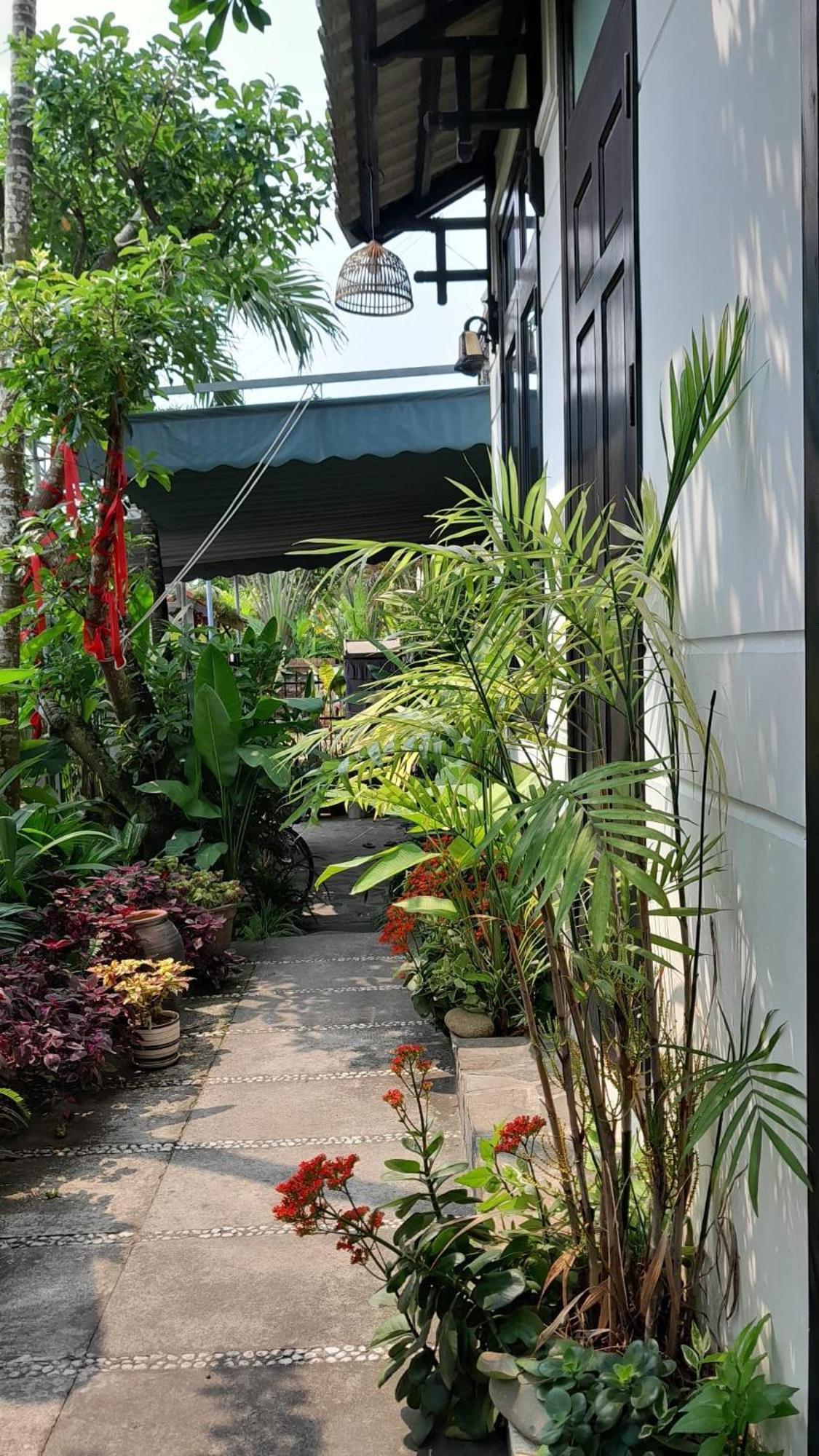 Sunny Garden Homestay Hội An Extérieur photo