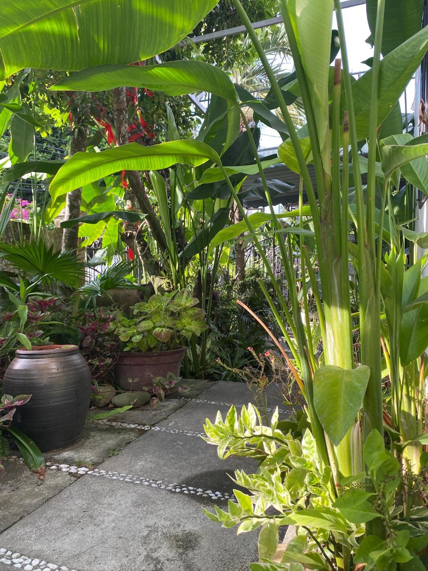 Sunny Garden Homestay Hội An Chambre photo